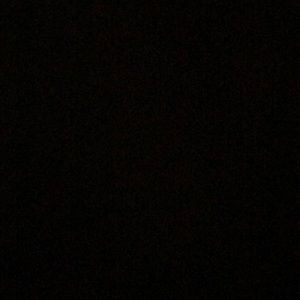 Meet your Posher, Selena